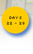 week4