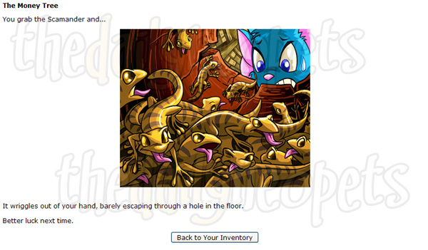 neopets make money quick