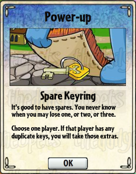 Spare Keyring Card