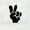 Spare Keyring Icon